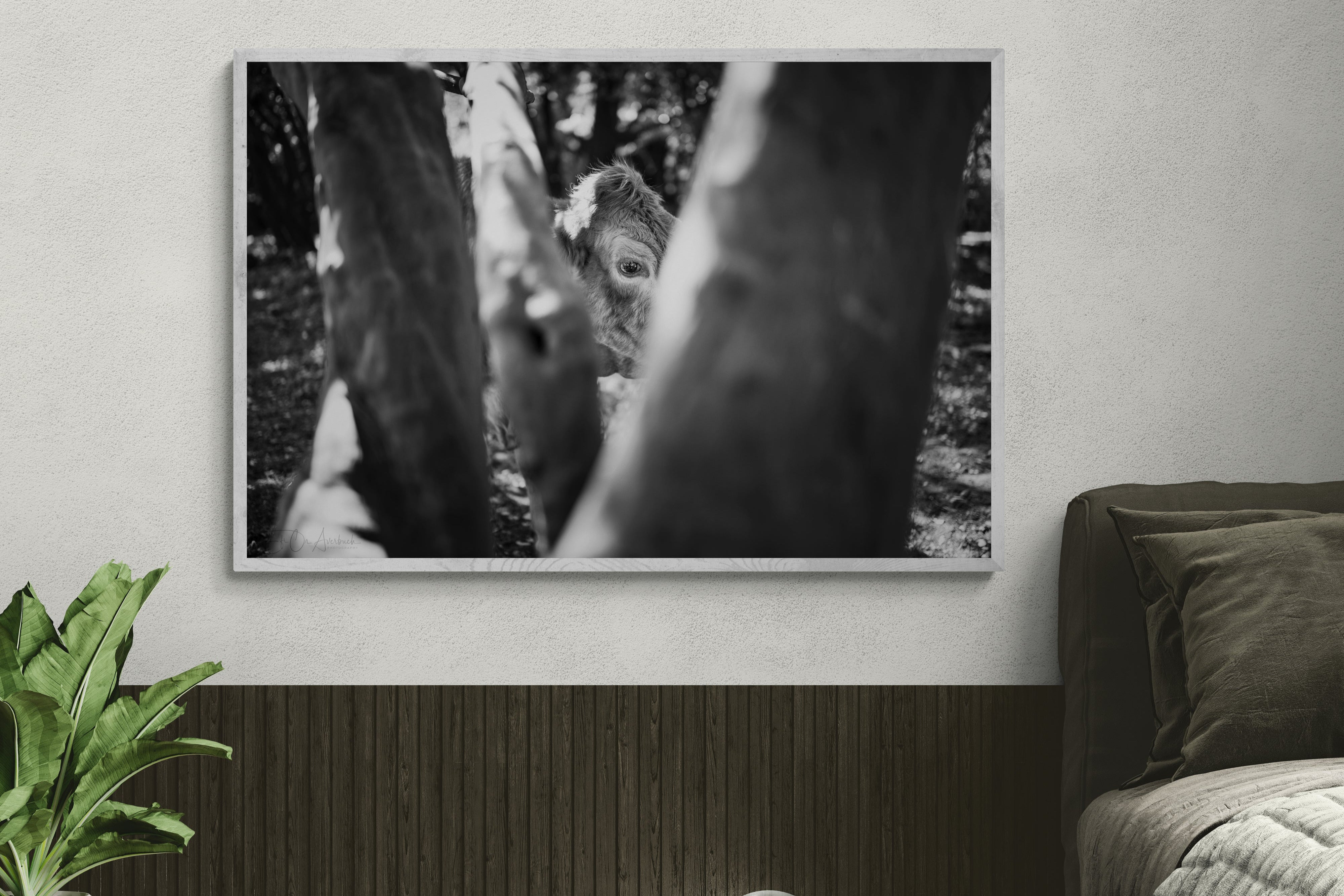 A cow glimpsed through a tree