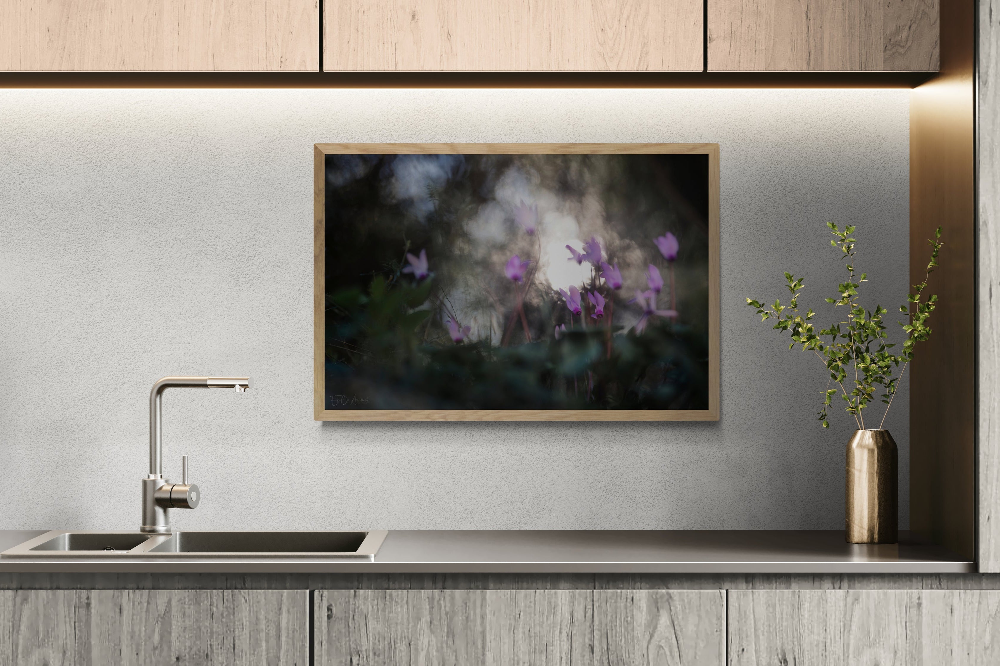 A flower backlit by sunlight