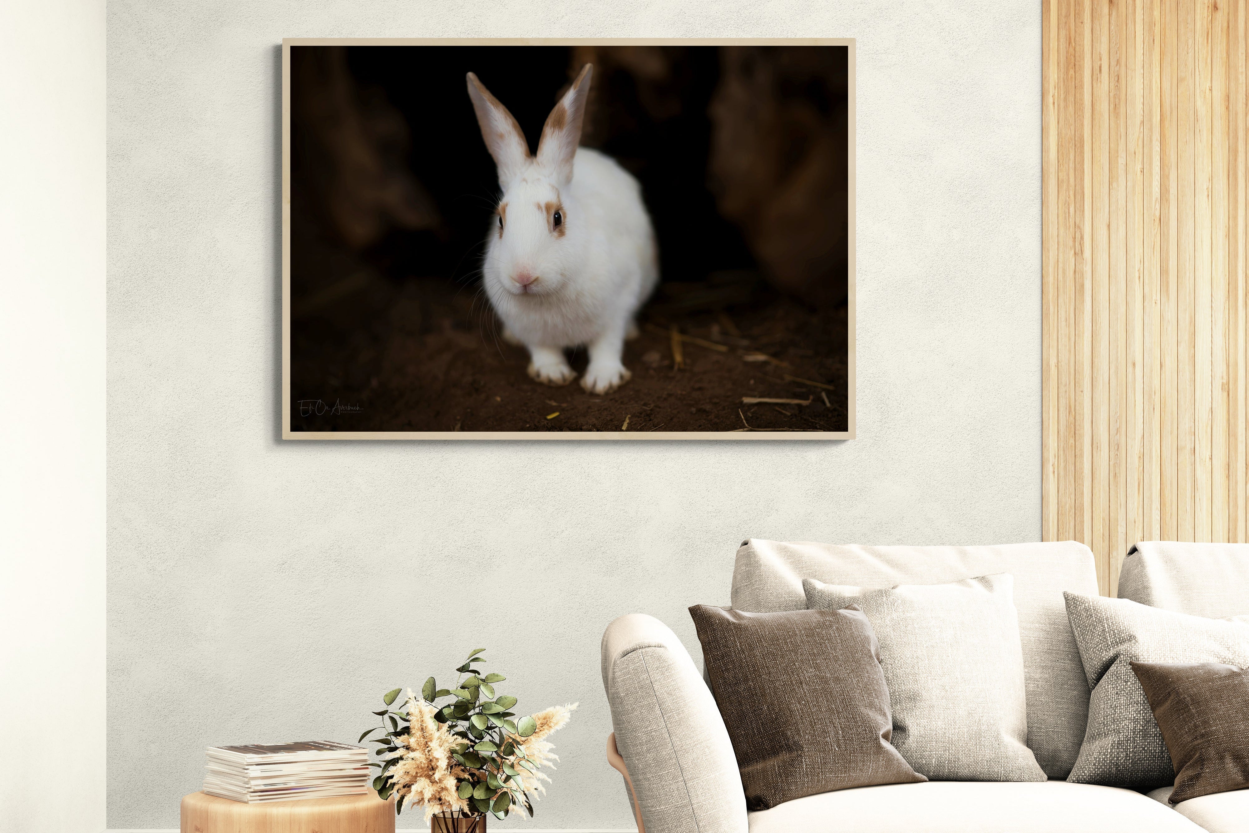 A curious rabbit looking out of its burrow